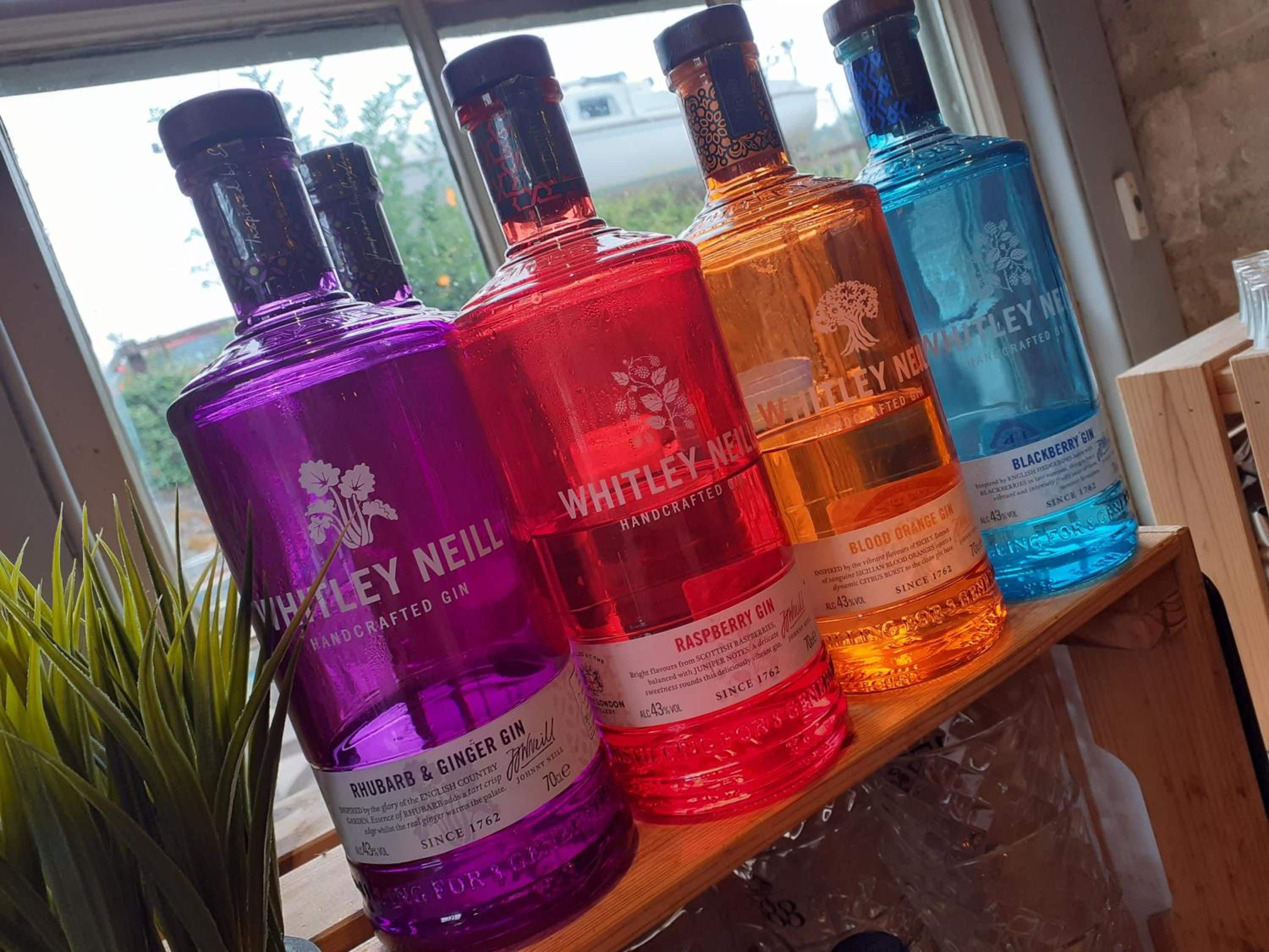 A collection of gin bottles on a shelf by a window.