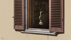 Une fenêtre avec des volets marron, un motif décoratif au-dessus, et une petite plante à l’intérieur.