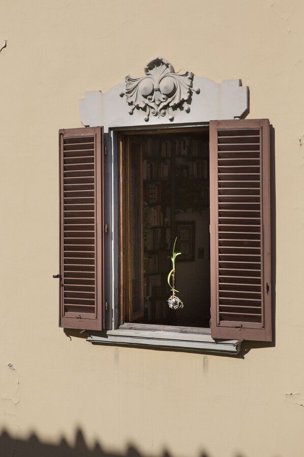 Vistas desde el alojamiento