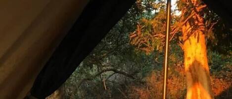 埃及棉床單、高級寢具