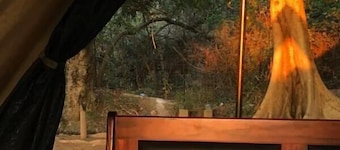 Senate Boutique Camp - Campsite