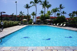 A swimming pool with lounge chairs and palm trees.