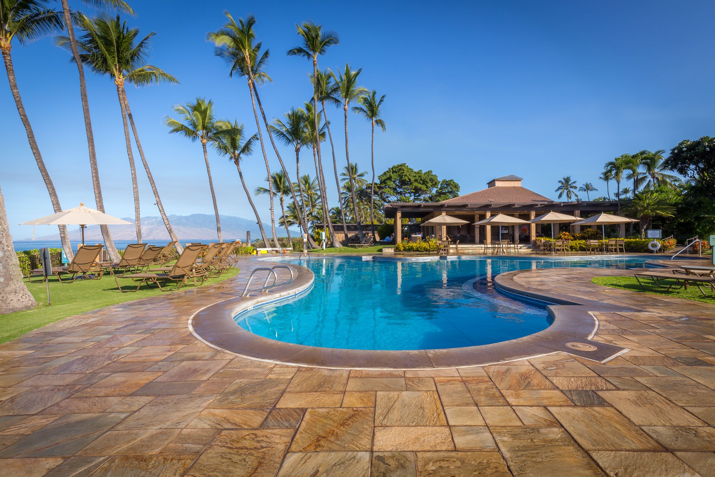 A swimming pool with lounge chairs and umbrellas, surrounded by palm trees and a building with a roofed area.