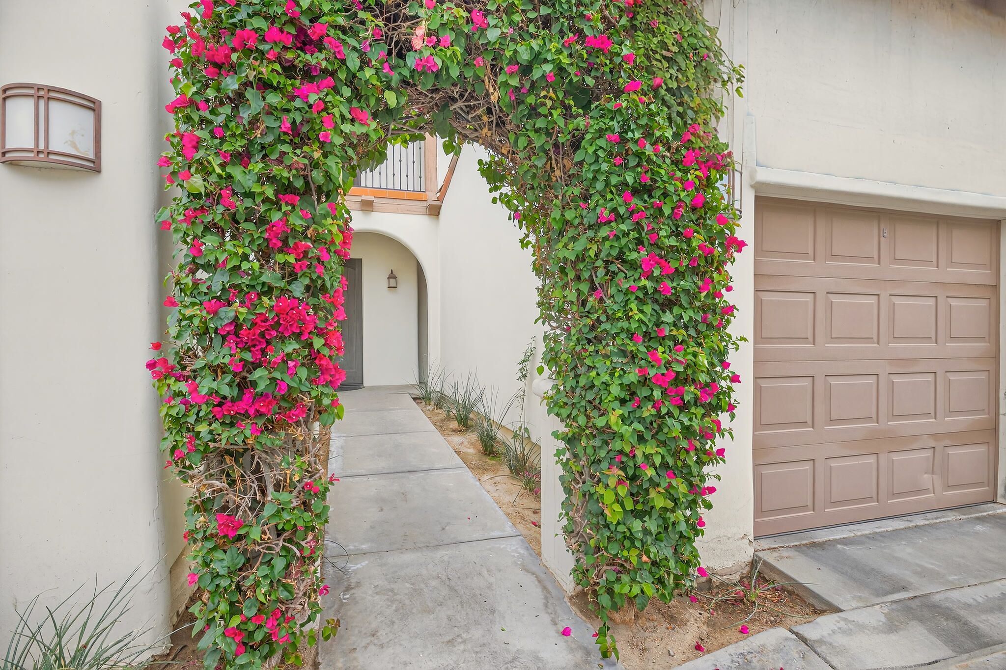 A covered pathway leading to a house entrance, surrounded by lush green foliage and vibrant pink flowers.