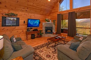 TV, peis og DVD-spiller