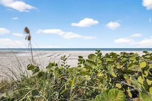On the beach