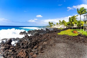 A coastal hotel with a rocky shoreline, palm trees, and ocean views.