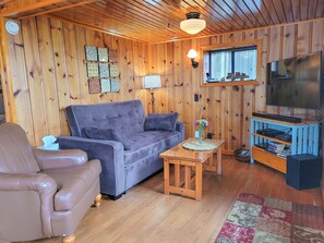 Téléviseur connecté, lecteur de DVD, livres