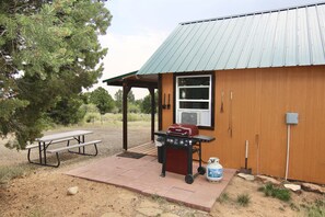 Un pequeño edificio de madera con techo metálico, una mesa de picnic, una parrilla y un tanque de propano.