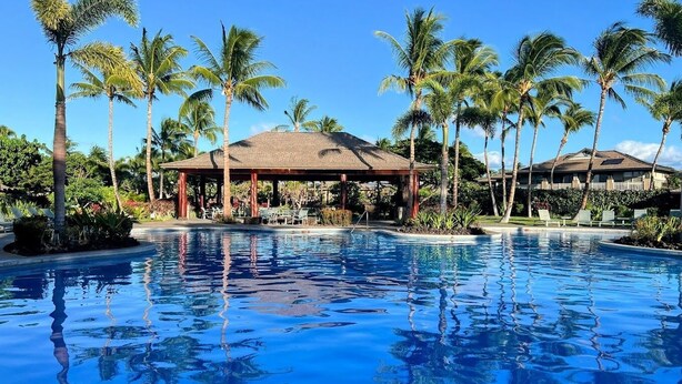 Piscina de resort com palmeiras, um gazebo e um edifício ao fundo.