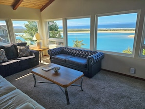 Smart TV, fireplace, DVD player, books