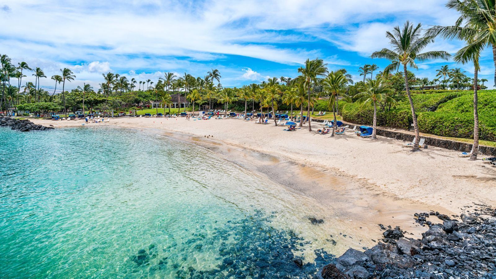 Una playa con agua turquesa cristalina, una orilla arenosa y palmeras.