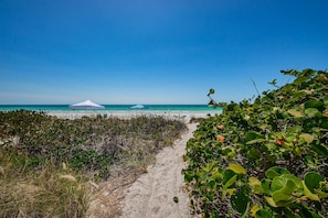 Un sentiero sulla spiaggia conduce a una tenda bianca e un ombrellone blu, immersi nel verde.
