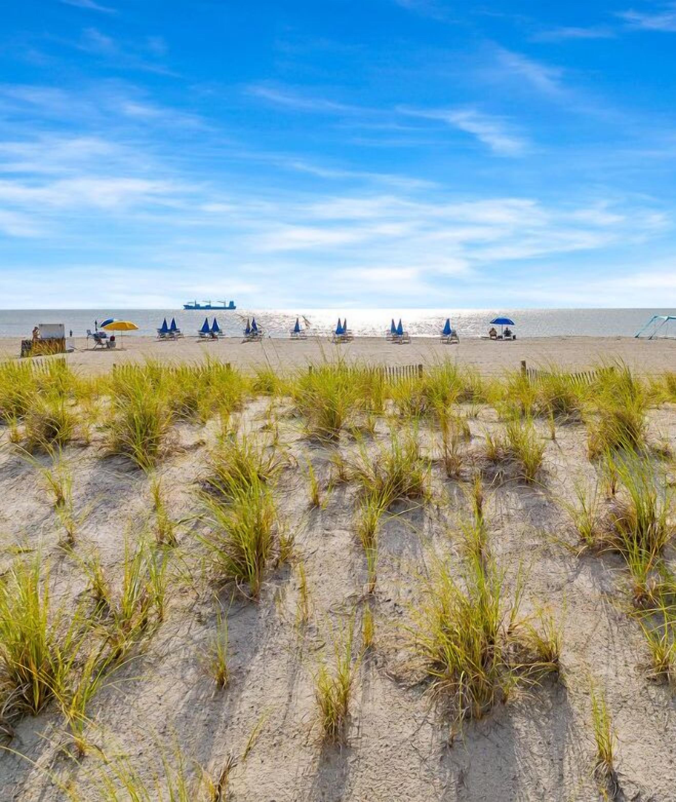 Ein Strand mit blauen Liegestühlen und Sonnenschirmen in Reih und Glied, ein Schiff im Hintergrund und Sanddünen mit Gras im Vordergrund.
