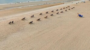 En strand med rader av solstolar och en person i en blå klänning.