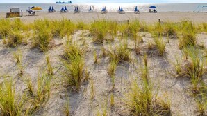 Ein Strand mit Reihen blauer Liegen und Sonnenschirmen, ein sandiger Vordergrund mit Gras und einem wolkenlosen, blauen Himmel.