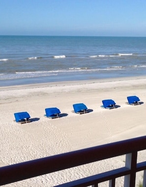 Ein Strand mit fünf blauen Liegestühlen, die in einer Reihe zum Meer ausgerichtet sind.