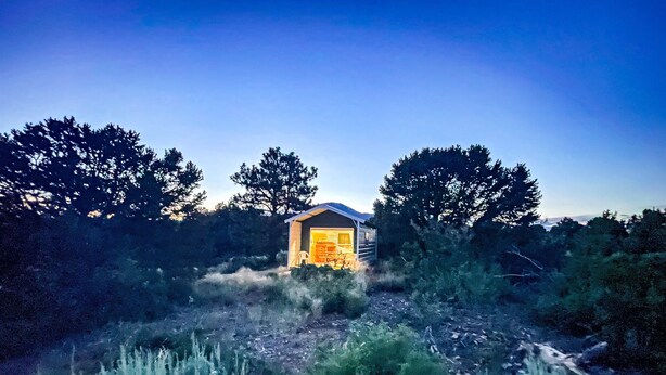 A small cabin with a single visible room, surrounded by dense vegetation and a clear sky.
