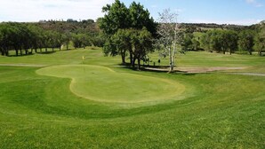 A golf course with a well-maintained green, trees, and a clear sky.