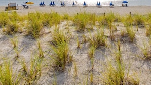 Ein Strand mit Reihen aus blauen Sonnenschirmen und Liegestühlen, ein sandiger Vordergrund mit Gras und ein klarer, blauer Himmel.