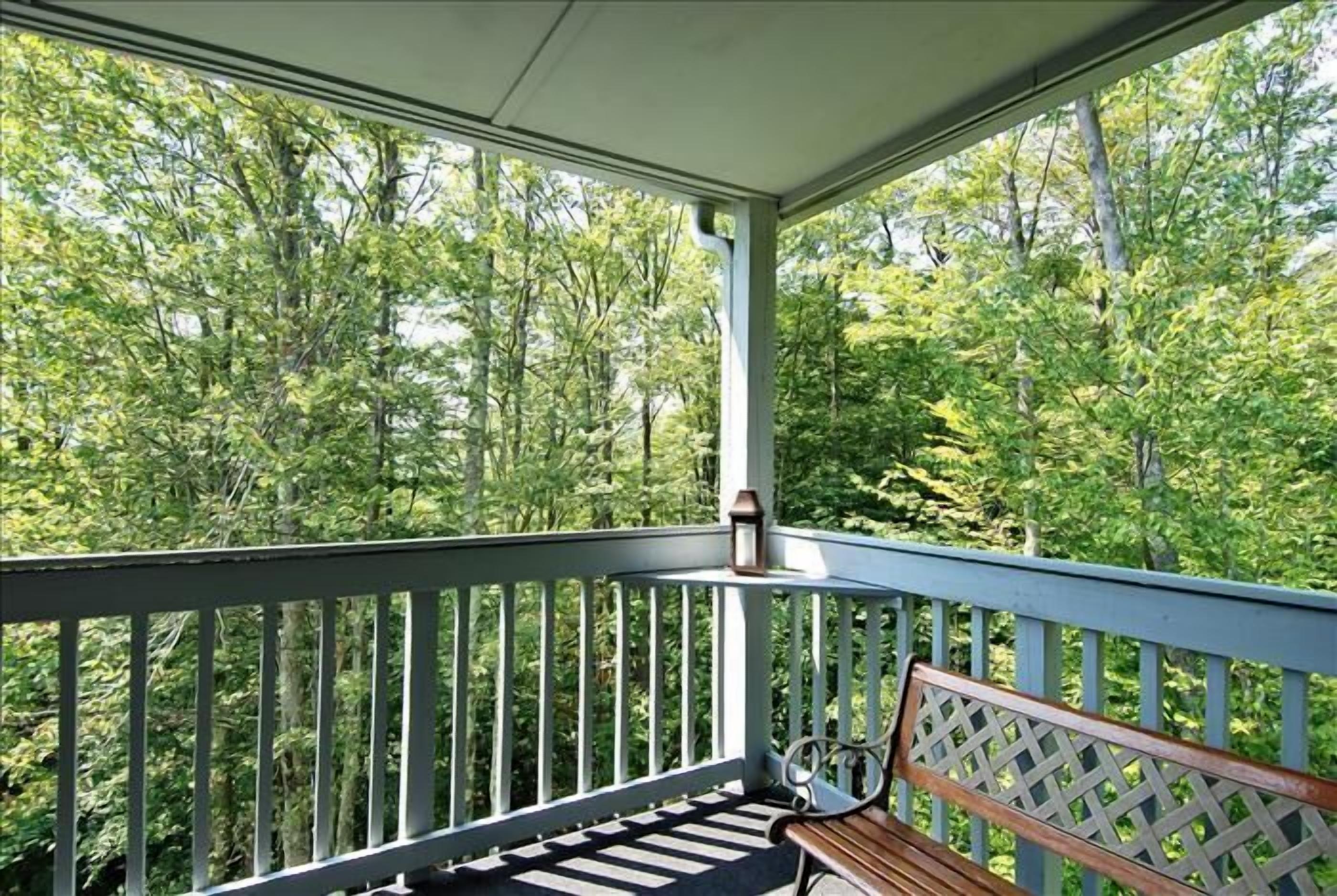 Amazingly affordable lodging in the center of Canaan Valley!