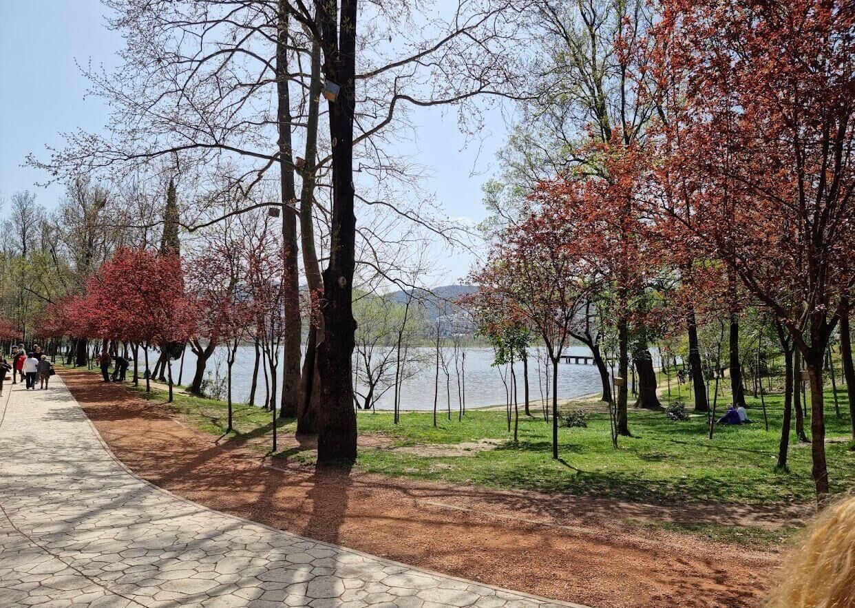 Photo - Hilton Garden Inn Tirana