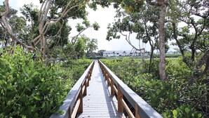 A wooden boardwalk leading through a dense, green forest towards a white building. - Quiet Waters Condominium 5C (Indian Shores)