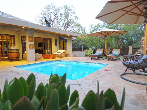 A swimming pool with lounge chairs and umbrellas, surrounded by a patio area with a view of trees. - Wild Dog Guest Lodge (Hoedspruit)