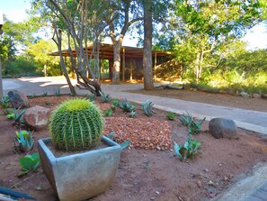 Nyala Cottage. | Garden view - Wild Dog Guest Lodge (Hoedspruit)