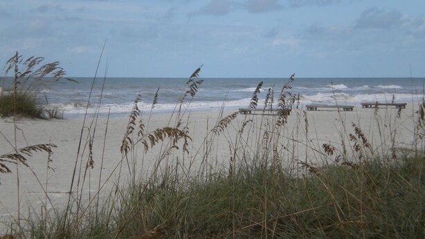 A beach with sand, waves, and tall grasses.
