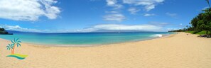 Serviettes de plage