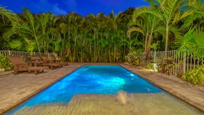 A swimming pool surrounded by palm trees and wooden lounge chairs. - The Nautilus | Luxury Pet Friendly Home, 2 Heated Pools, Ping Pong Tables Steps to Beach! (Sarasota)