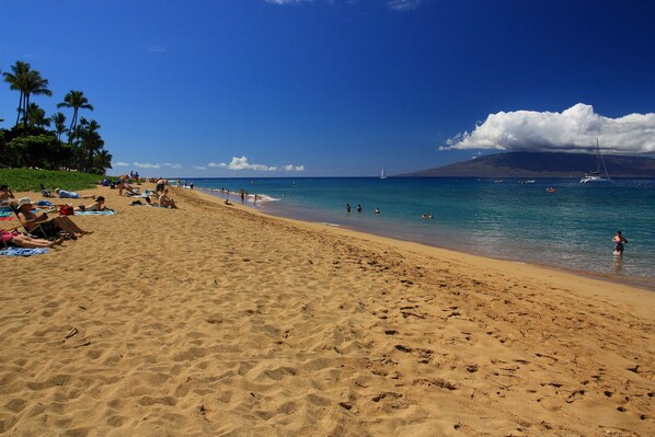 A sandy beach with people sunbathing and swimming, palm trees, and boats in the water.