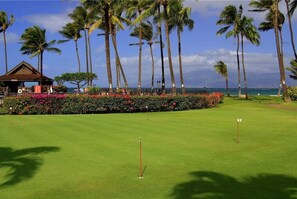 Golf - What's not to Love about this 2nd Floor 2 Bedroom condo at Papakea Beach Resort (Lahaina)