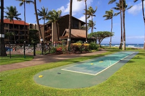 A shuffleboard court with a view of the ocean and palm trees.