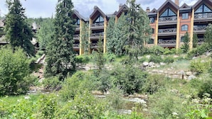 Un chalet à étages, doté d’escaliers extérieurs et situé dans un cadre naturel agrémenté d’arbres et d’un ruisseau.