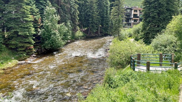 Ein Fluss fließt durch bewaldetes Gebiet, im Hintergrund ein Gebäude.