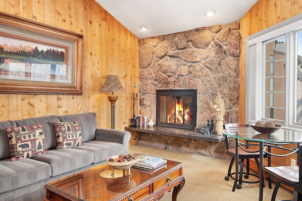 Televisión, chimenea y reproductor de DVD