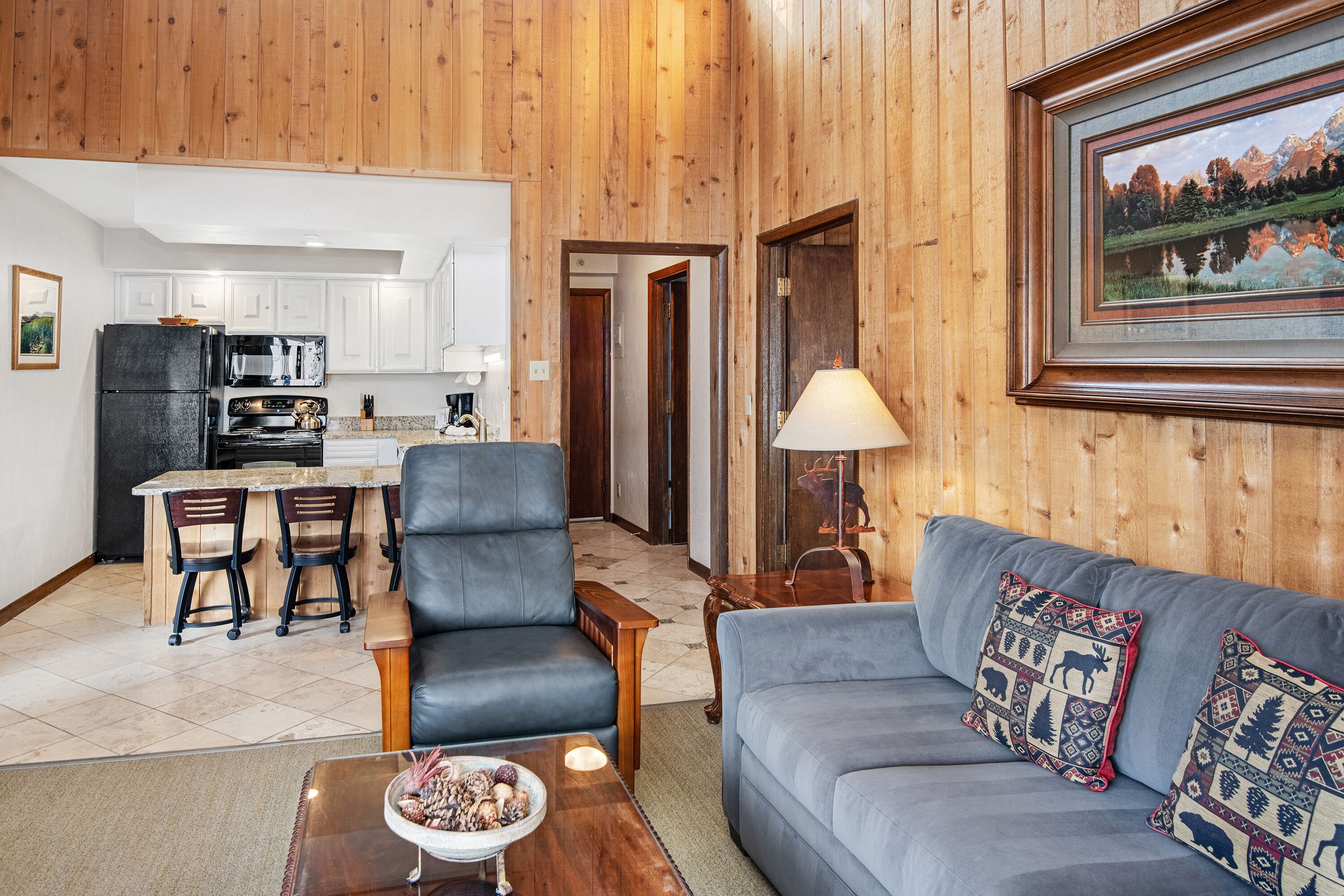 TV, fireplace, DVD player