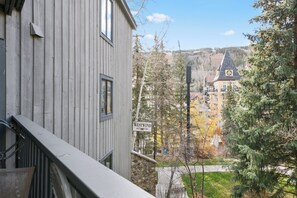 Property grounds - Remodeled, Views, Pool, Hot Tub W206 (Vail)