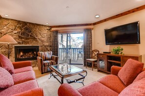 TV, fireplace, DVD player