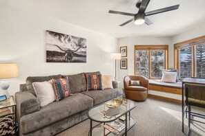 TV, DVD player, stereo - Peak Views, Powder Days | Walk-to-Ski, Hot Tub (Telluride)