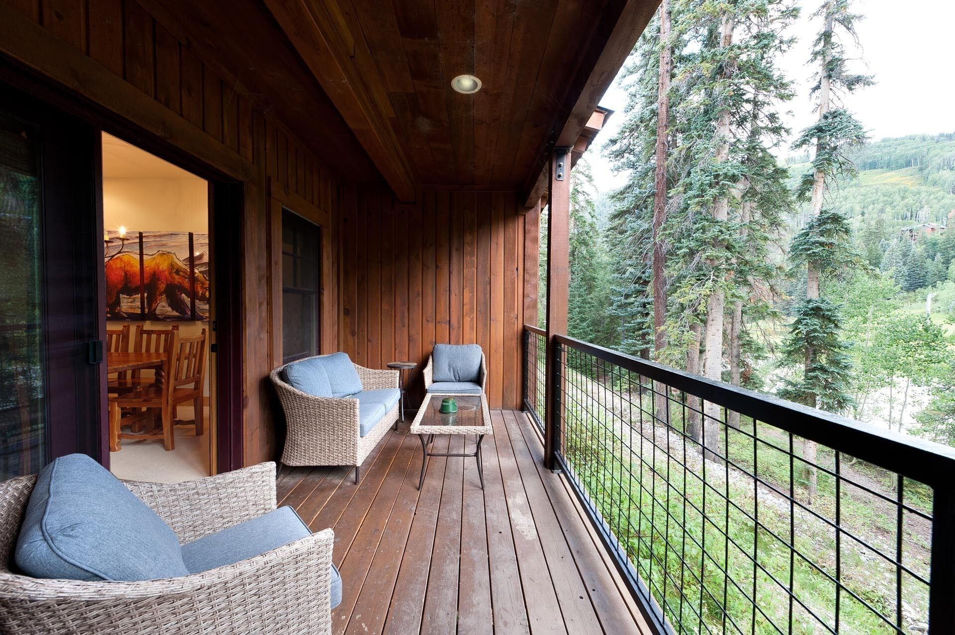 Black Bear Townhome - Views - Ski Shuttle