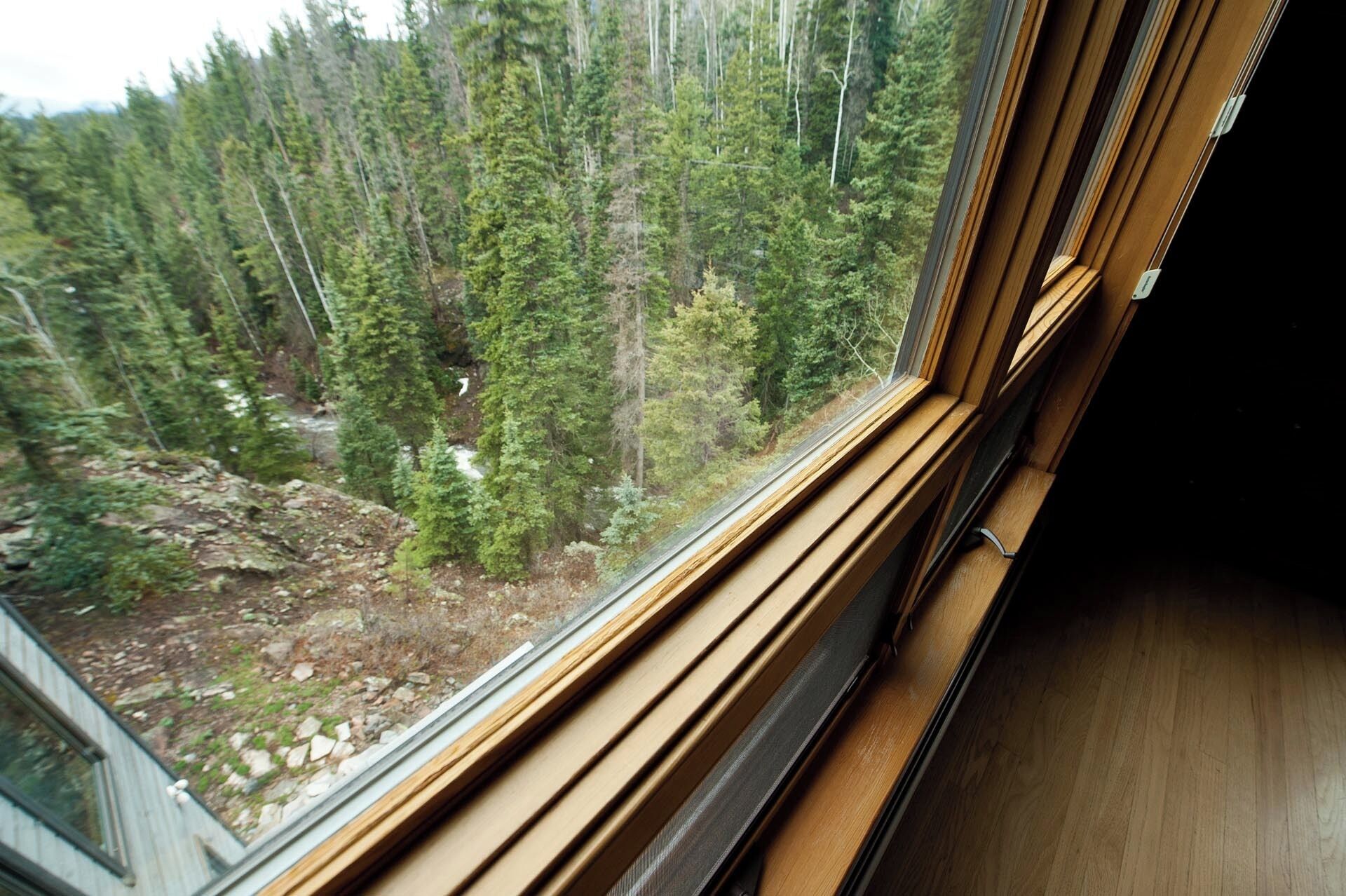A window with a view of a forested area.