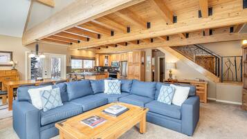 TV, fireplace, DVD player, books