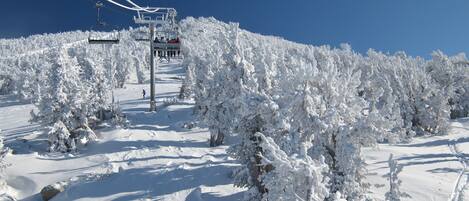 Deportes de invierno y ski