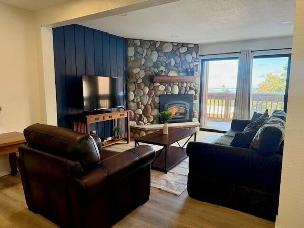 Televisión, chimenea y reproductor de DVD 