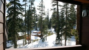 Vista desde un balcón con suelo nevado y altos árboles de hoja perenne.