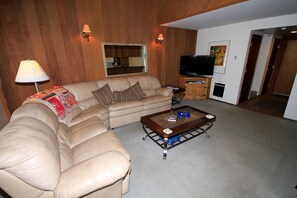 Fernseher, Kamin, DVD-Player