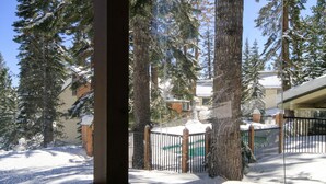A snowy landscape with tall evergreen trees and a building with a snow-covered roof.